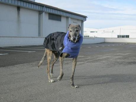 Al invierno, frío y temporales, buena cara y buen remedio...