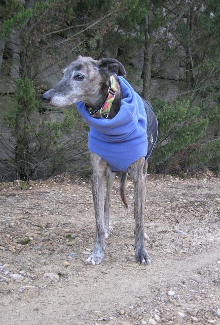 Al invierno, frío y temporales, buena cara y buen remedio...