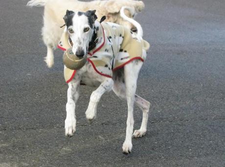 Al invierno, frío y temporales, buena cara y buen remedio...