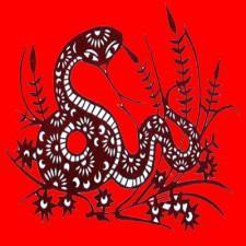 Predicciones 2013 según el horóscopo chino