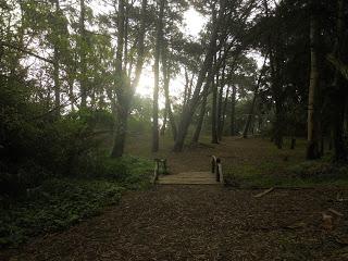 Cerrado por vacaciones