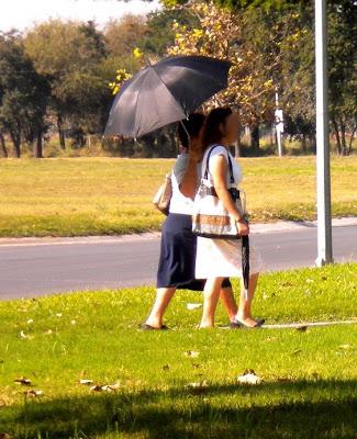 Paraguas para el sol