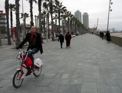 Ilustrísimo Sr. Regidor de Cultura