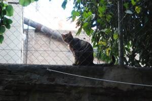 LUNA LLENA…DE PASIÓN