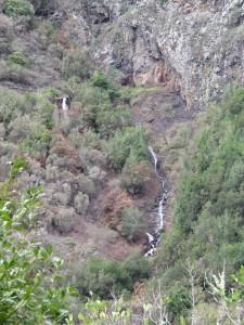 La Gomera Milenaria