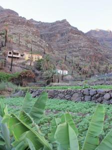 La Gomera Milenaria