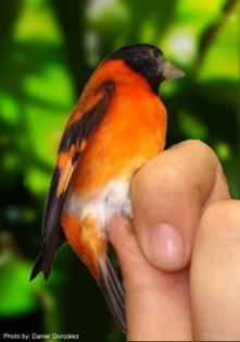 Foto: cortesía de Provita