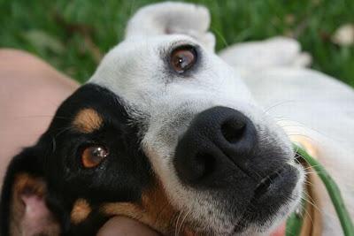 BANDA una linda bodeguera‏.