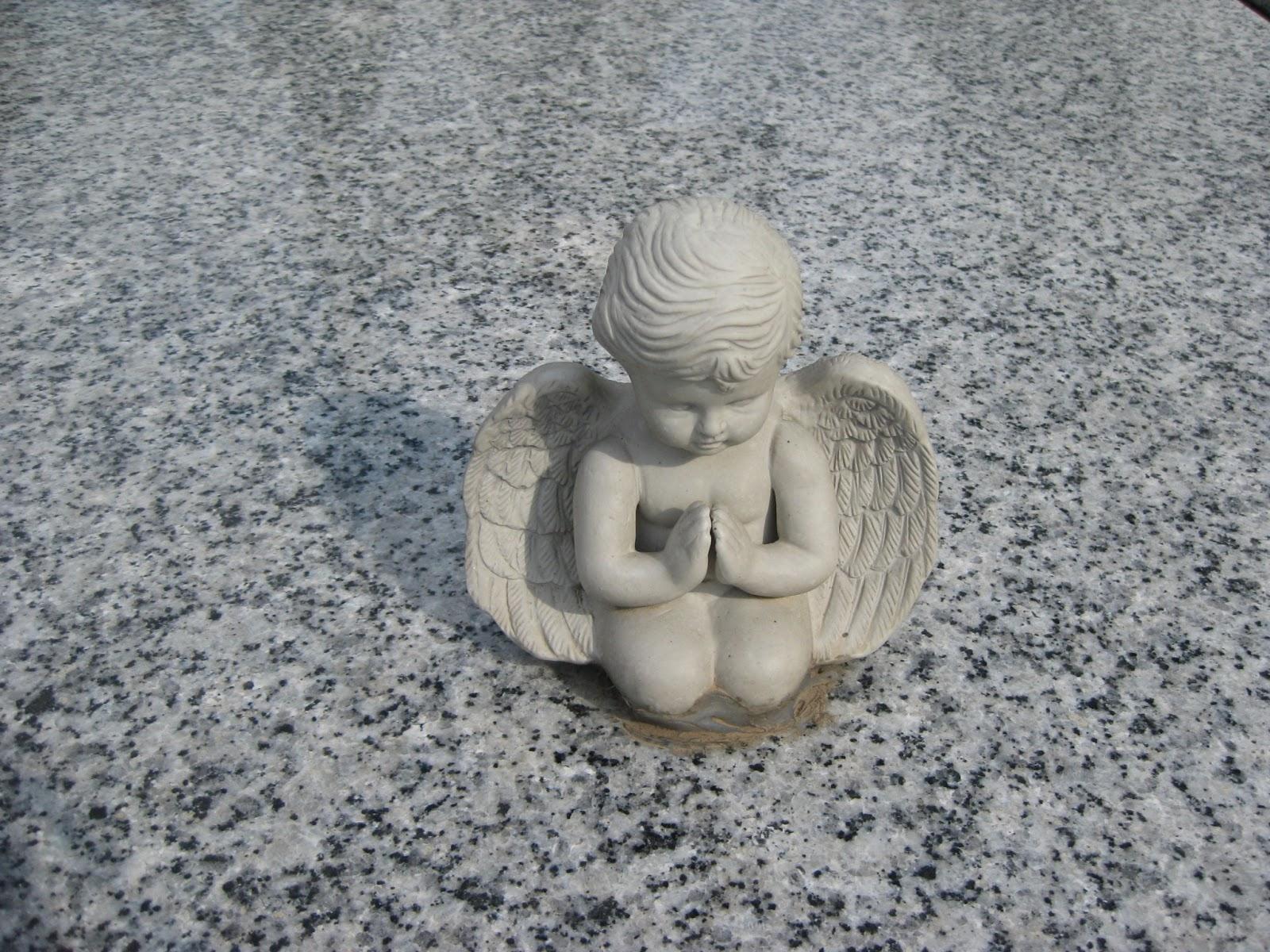 Comunicación y Argumentación