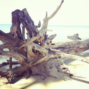 Nikki Beach Koh Samui (Thailand)