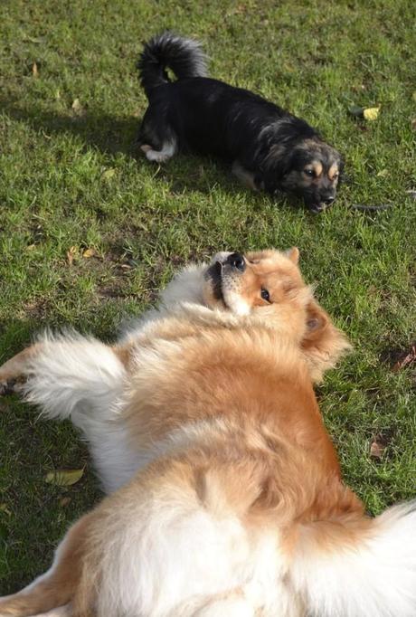 Outfit Low Cost: Tristán & Greta