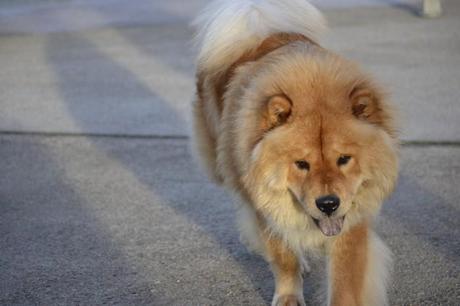 Outfit Low Cost: BGG Outfit Low Cost: BGG