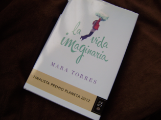 LA VIDA IMAGINARIA