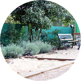 5 Cosas que debes saber al comprar una casa con jardín