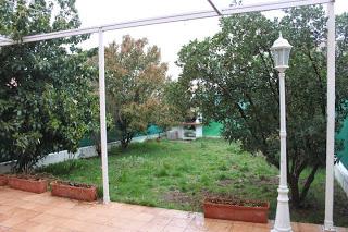 5 Cosas que debes saber al comprar una casa con jardín