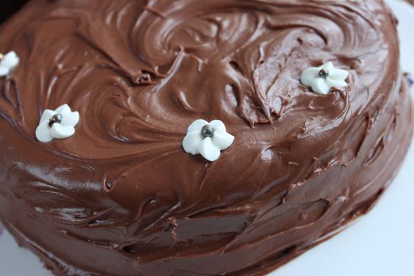 bizcochos de chocolate con cobertura de chocolate