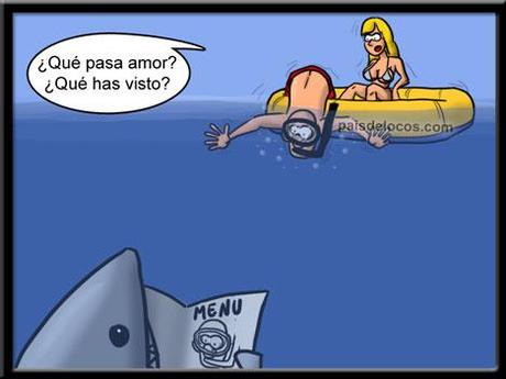 sopa de pollo, caldo de pollo, sopa, guindilla, pollo, verduras, recetas de cocina, blog de cocina, curiosidades, humor, chistes sopa de pollo, caldo de pollo, sopa, guindilla, pollo, verduras, recetas de cocina, blog de cocina, curiosidades, humor, chistes