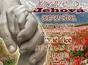 mina terrestre temor