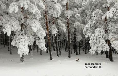 invierno