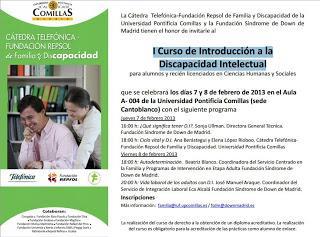 I Curso de Introducción a la  Discapacidad Intelectual