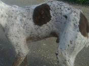 Thin, podia mantener