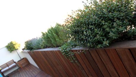 00 portada Diseño moderno de jardín en ático