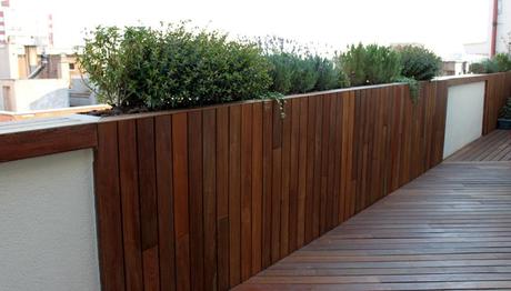 foto 01 Diseño moderno de jardín en ático