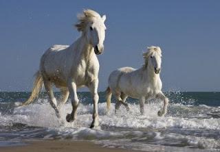 LA LIBERTAD ES ALGO MÁS QUE UN SPOT DE MARKETING