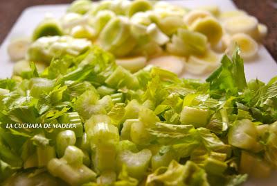 APIO CON PUERROS Y SETAS