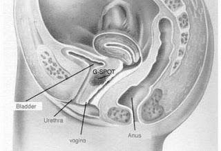 Buscando el punto G...¿por qué las mujeres sois tan complicadas?