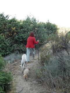 NO SOLO SE VIVE DE GANCHILLO