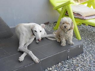 ARREGLO DE MUEBLE AUXILIAR EN VACACIONES