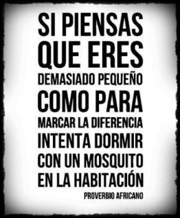 Cómo sacar el mosquito africano que todos llevamos dentro