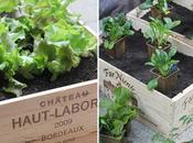 Ideas para decorar jardín