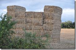 Zadorra en Gobeo, 15 de Octubre de 2012,    -   05