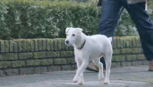 Captura de pantalla 2013 01 28 a la s 08 14 47