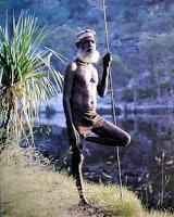 Ser o no ser... nativo