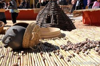 DE FERIA EN FERIA: CATALUÑA, FEBRERO 2013