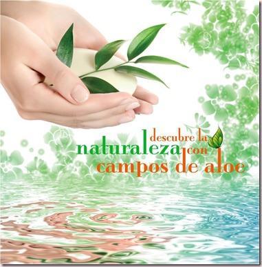 Campos de Aloe Ciudad Real, cuídate por dentro y por fuera Campos de Aloe Ciudad Real, cuídate por dentro y por fuera