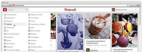pinterest-navigation