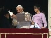 Gaviota atacó paloma blanca Papa Benedicto