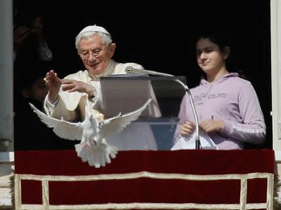 papa suelta paloma de la paz atacada por gaviota