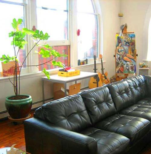 Los mejores ambientes con una GUITARRA ESPAÑOLA