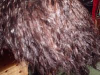 Naturica, de Cosmeticos Almagro