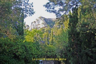 Viaje de cumpleaños