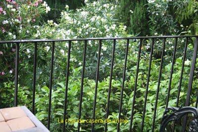 Viaje de cumpleaños