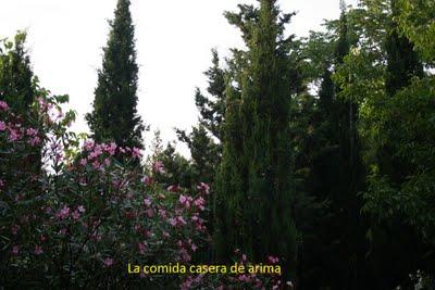 Viaje de cumpleaños