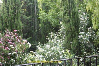 Viaje de cumpleaños