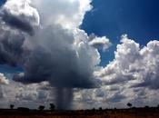 nubes tormenta albergan microbios procedentes plantas