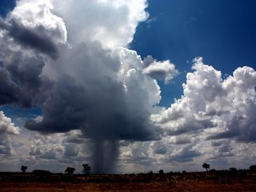 Las nubes de tormenta albergan microbios procedentes de las plantas